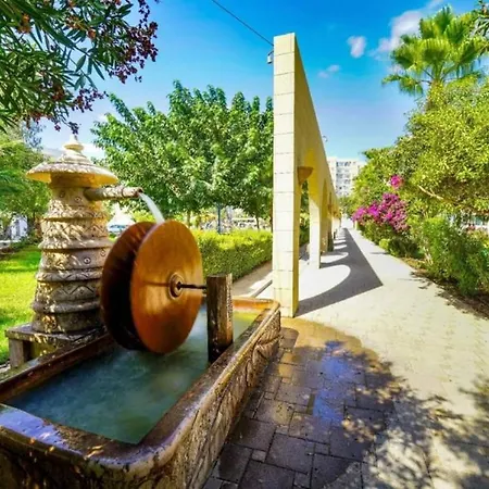 в комплексе Caesar & *